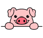 Pig69
